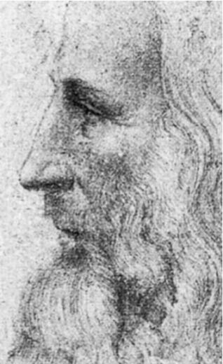 Portrait Leo